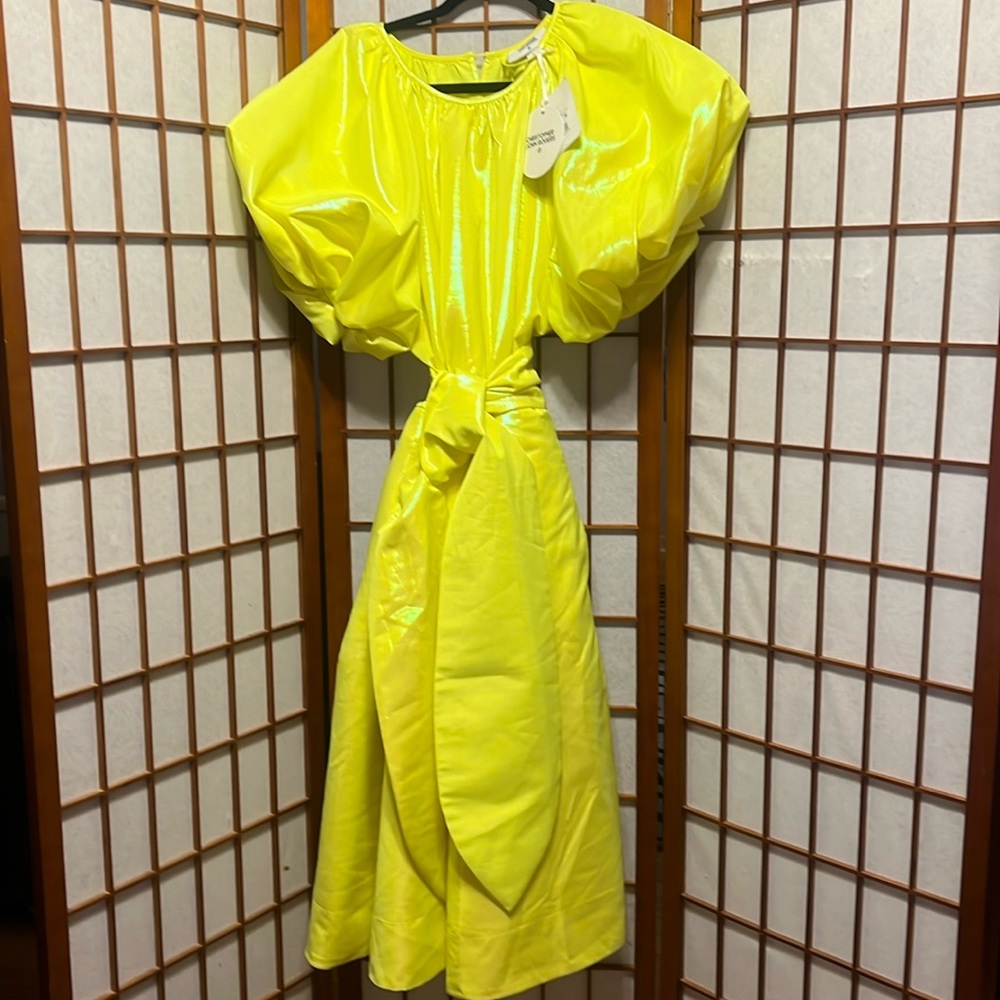 Christopher John Rogers Neon Yellow Iridescent Puff Sleeve Fit & Flare Dress 1X